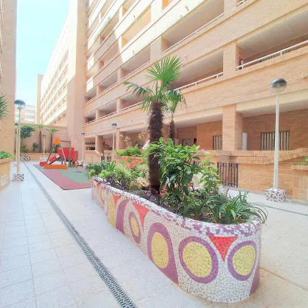 Ayf Centrico Azahar Dor